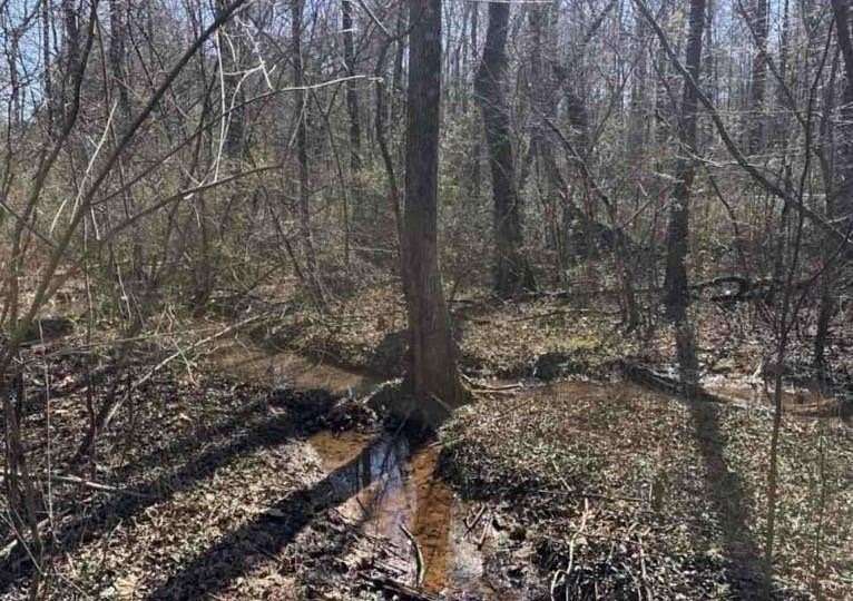 29.3 Acres of Recreational & Residential Land for Sale in Temple, Georgia