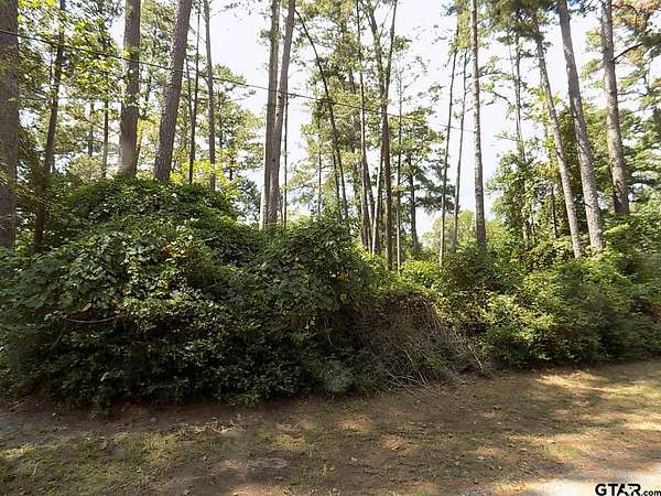 0.4 Acres of Residential Land for Sale in Holly Lake Ranch, Texas