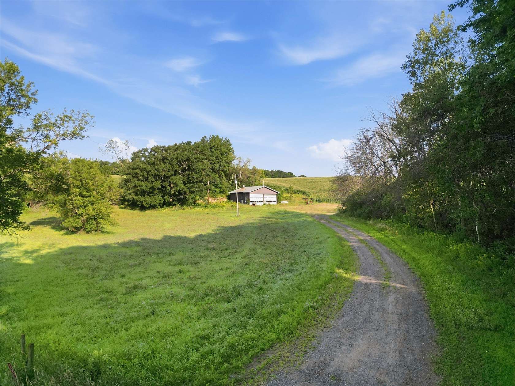 200 Acres of Land for Sale in Bloomer, Wisconsin