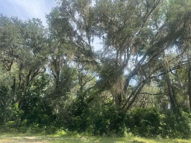 34.7 Acres of Recreational Land for Sale in High Springs, Florida