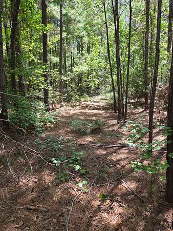 10.2 Acres of Land for Sale in Macon, Georgia