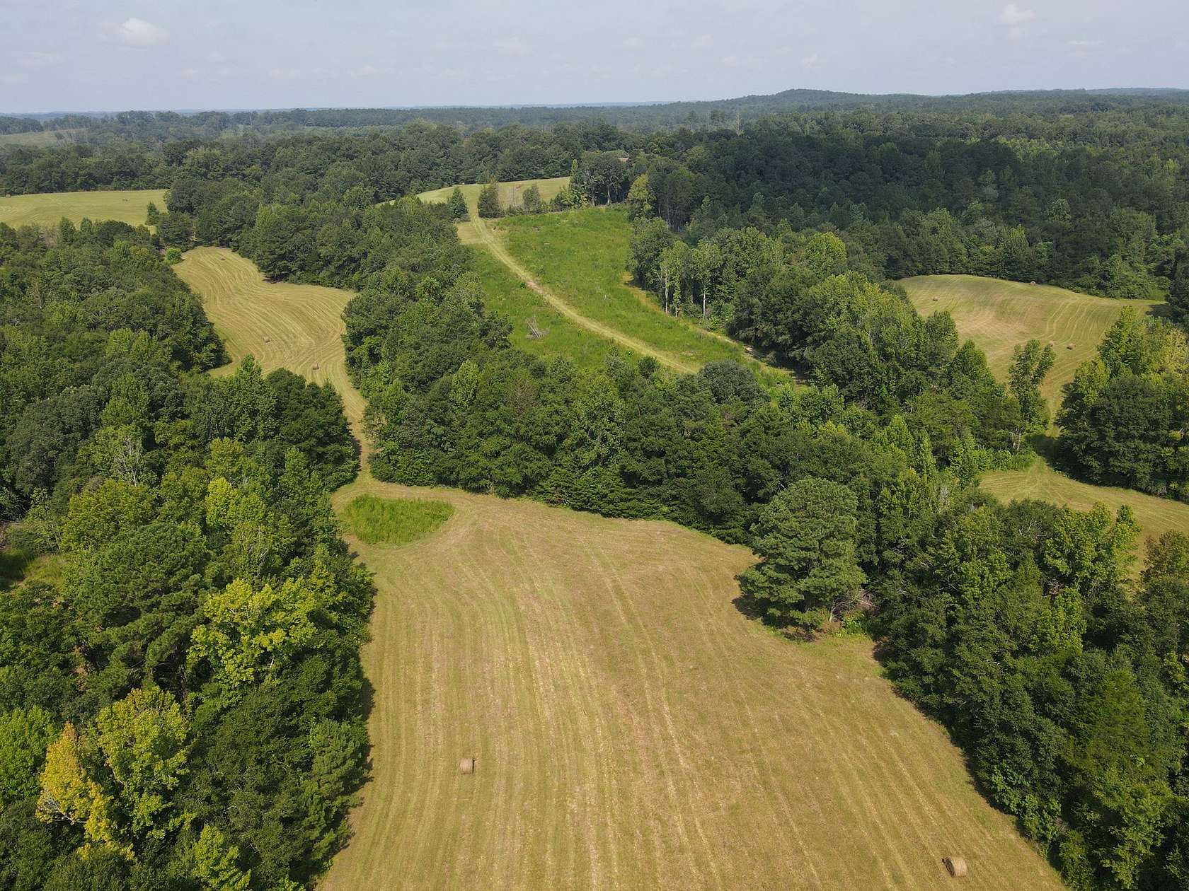 122 Acres of Improved Land for Sale in Elba, Alabama