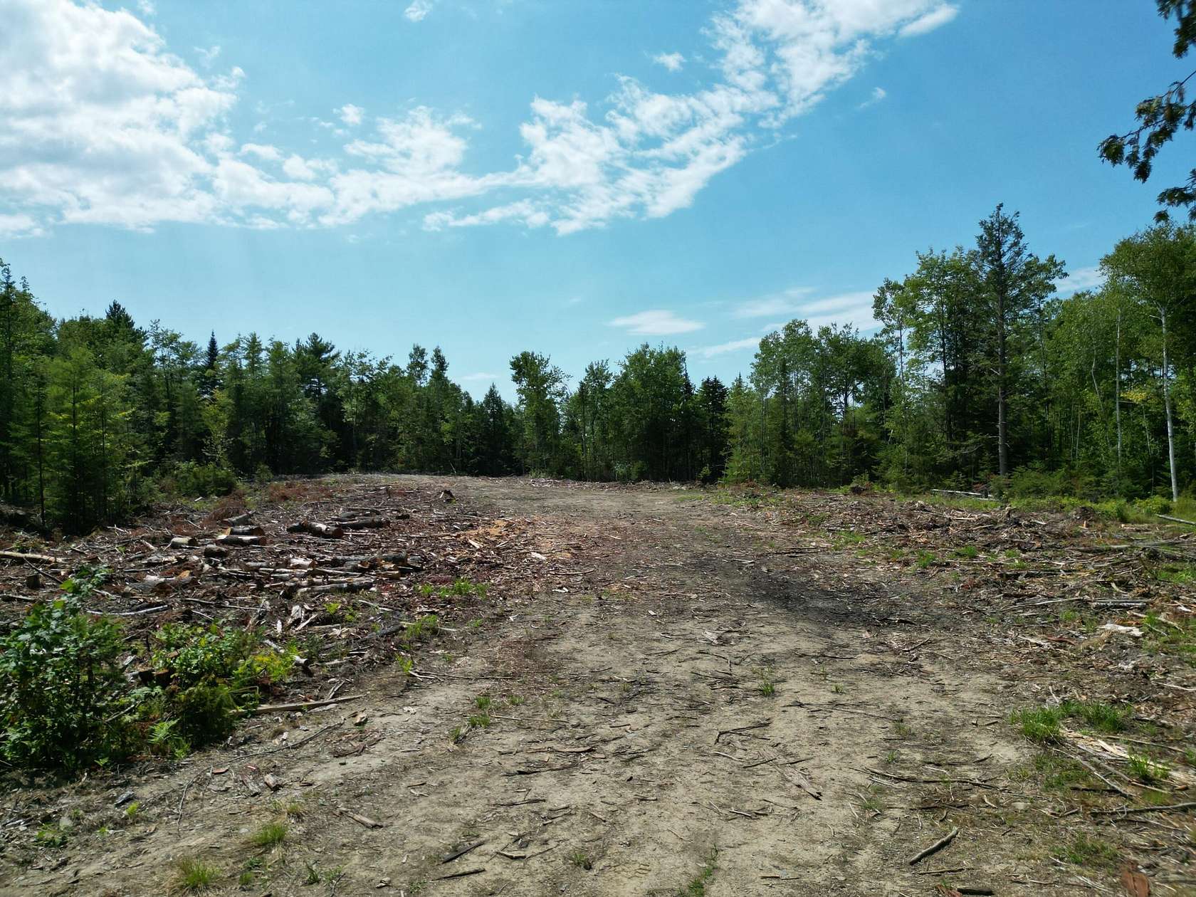 80 Acres of Recreational Land for Sale in Burnham, Maine