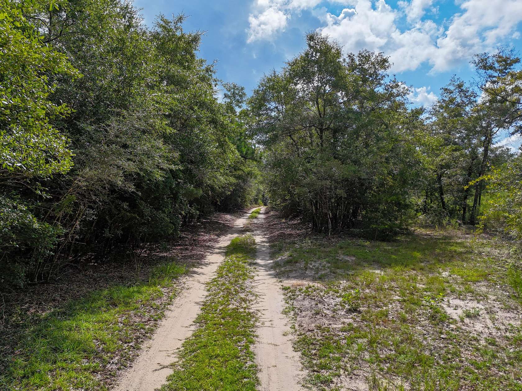 40.6 Acres of Recreational & Residential Land for Sale in Redbay, Florida