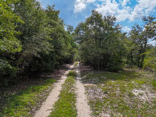 40.6 Acres of Recreational & Residential Land for Sale in Redbay, Florida