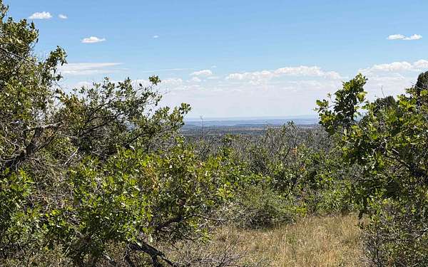 36.3 Acres of Land for Sale in Hesperus, Colorado