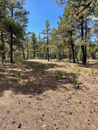 35 Acres of Land for Sale in Trinidad, Colorado