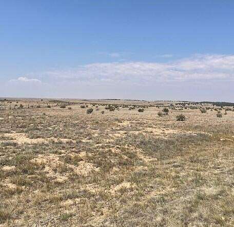 40 Acres of Land for Sale in Tyrone, Colorado