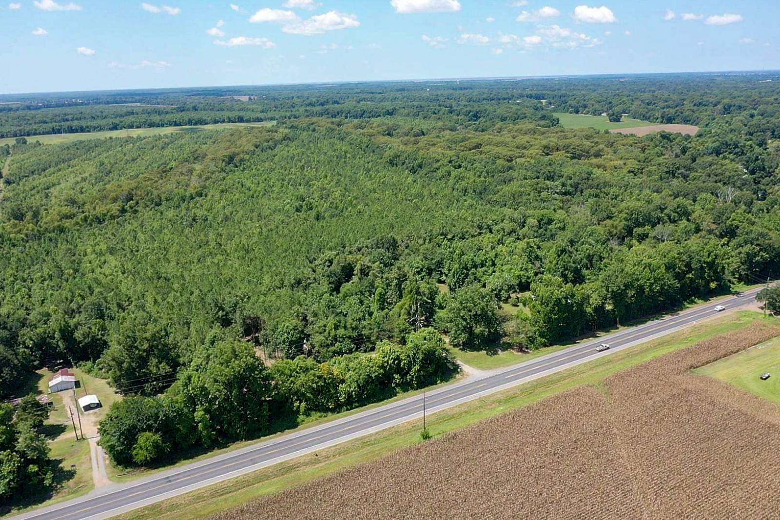 113 Acres of Recreational Land for Sale in Jonesville, Louisiana
