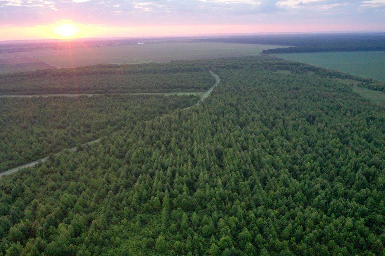 315 Acres of Recreational Land for Sale in Vidalia, Louisiana