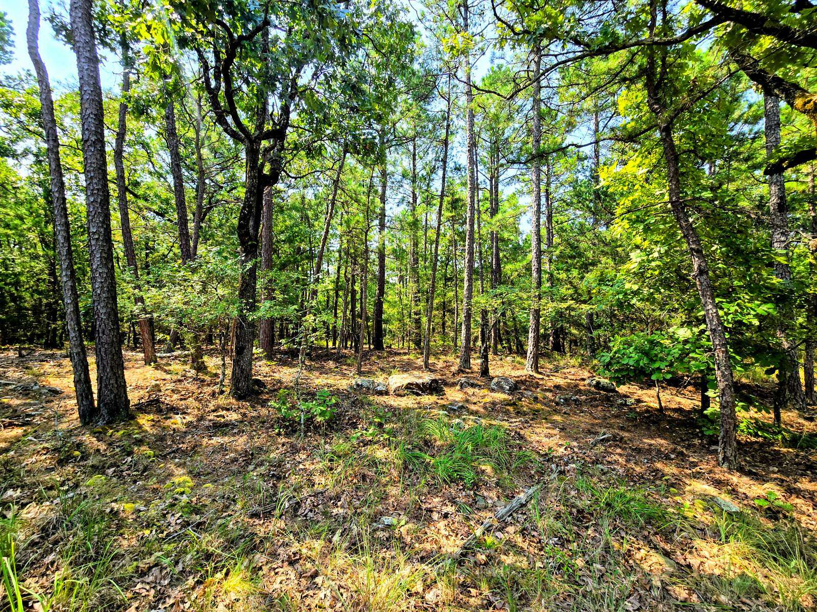20 Acres of Recreational Land for Sale in Talihina, Oklahoma