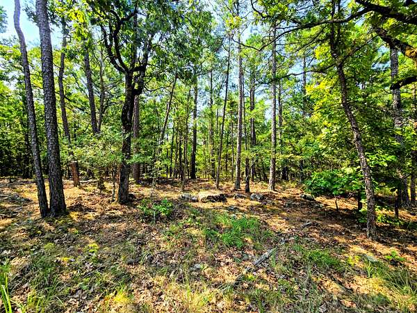 20 Acres of Recreational Land for Sale in Talihina, Oklahoma