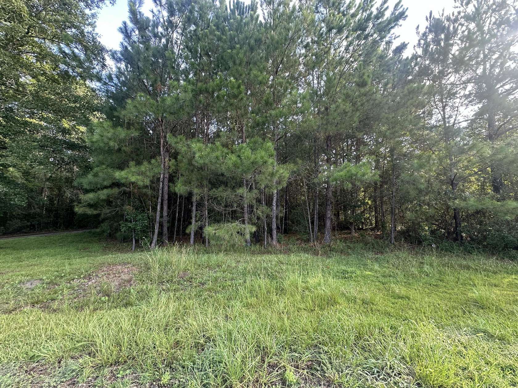1.1 Acres of Land for Sale in Jamestown, South Carolina