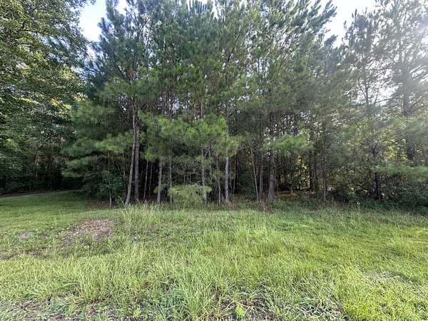 1.1 Acres of Land for Sale in Jamestown, South Carolina