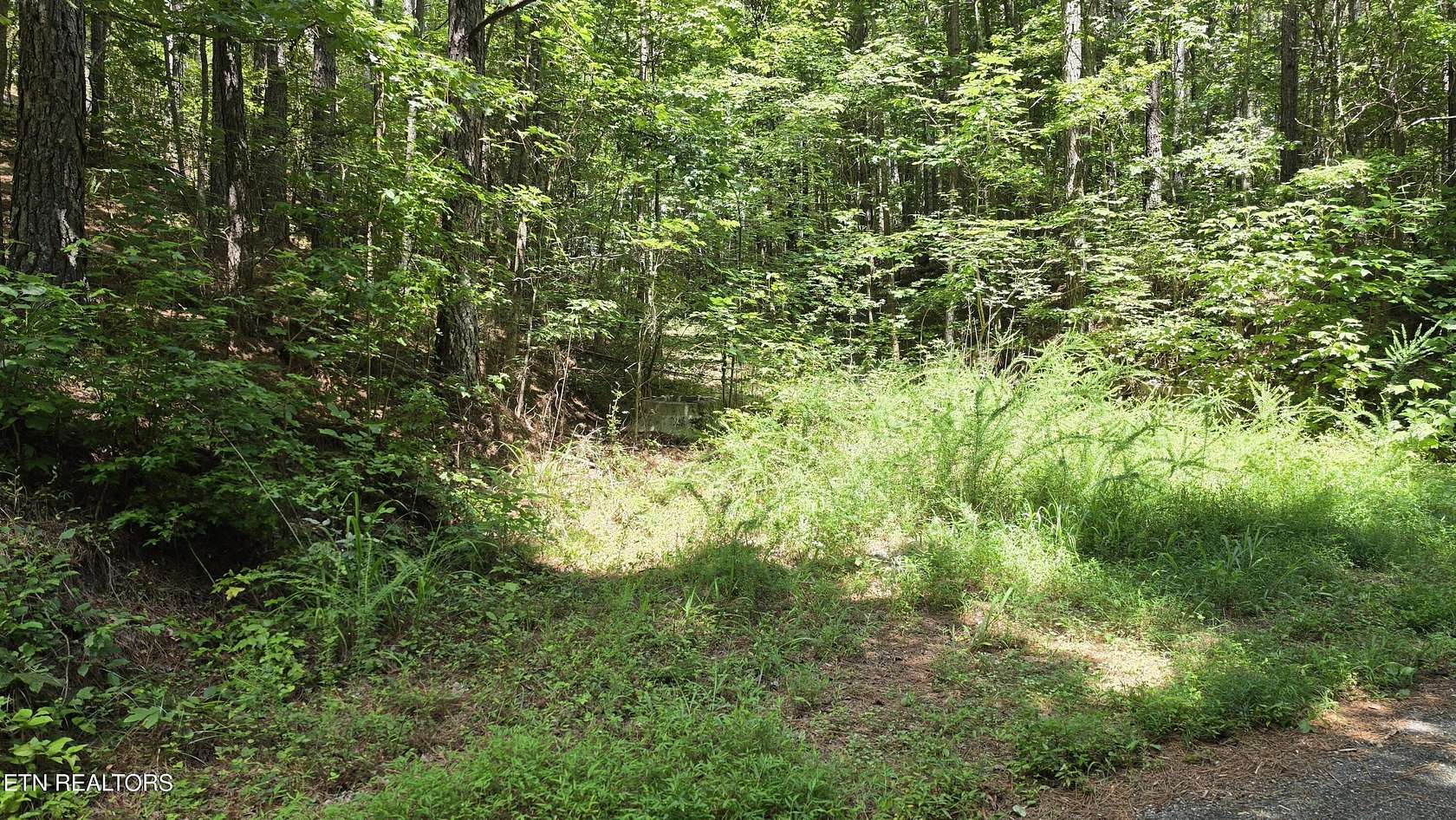 13.6 Acres of Land for Sale in Athens, Tennessee