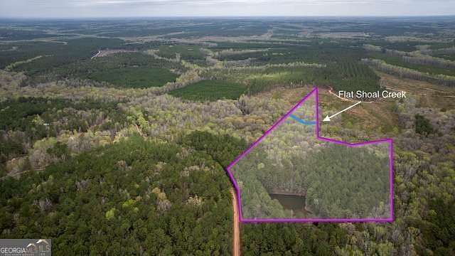 20 Acres of Land for Sale in Greenville, Georgia
