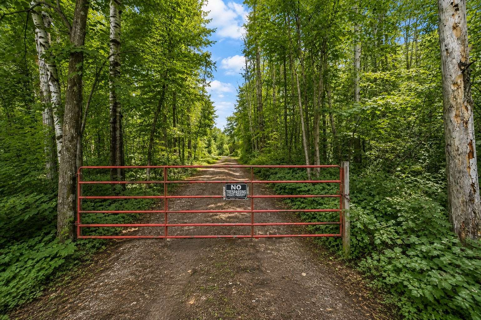 26.9 Acres of Recreational Land for Sale in Hillman, Minnesota