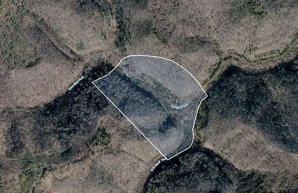 37 Acres of Recreational Land for Sale in Debord, Kentucky