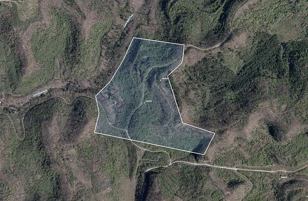 72 Acres of Recreational Land for Sale in Debord, Kentucky