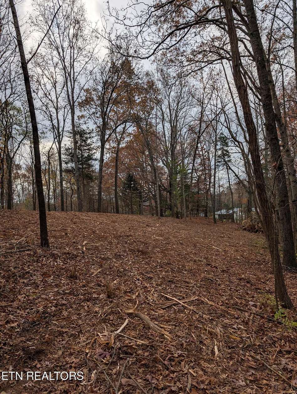 2.3 Acres of Residential Land for Sale in Strawberry Plains, Tennessee