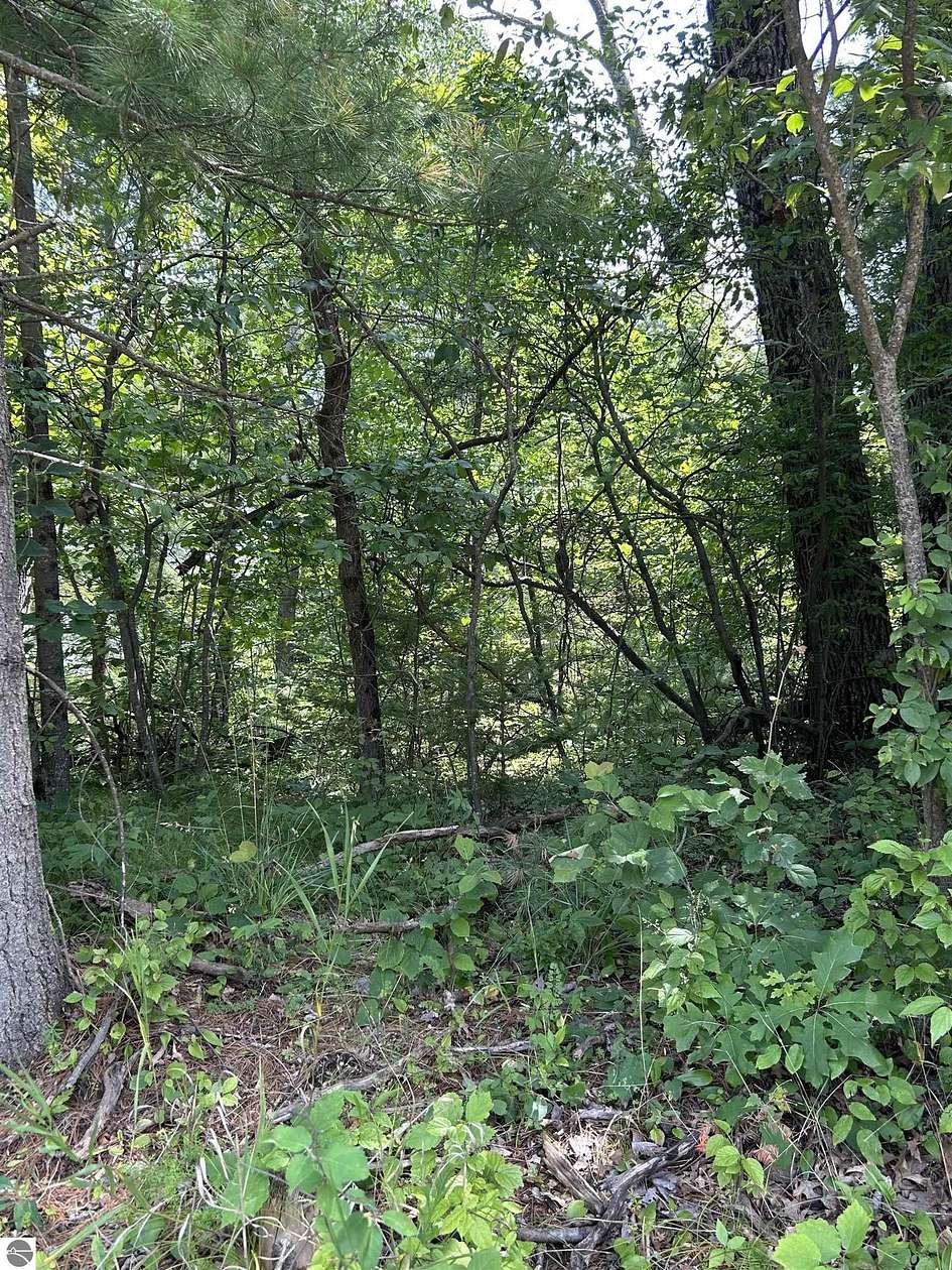 0.26 Acres of Residential Land for Sale in West Branch, Michigan