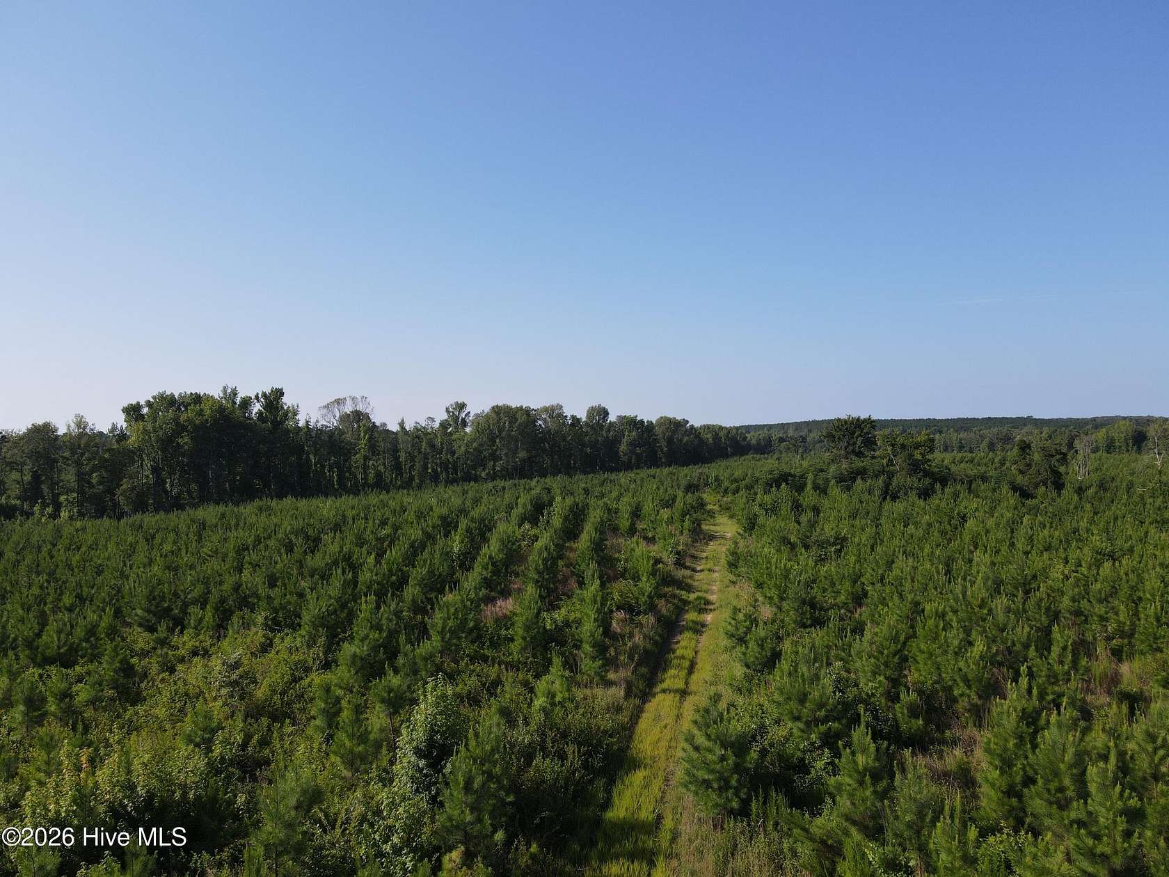 82.6 Acres of Recreational Land for Sale in Sparta, Georgia