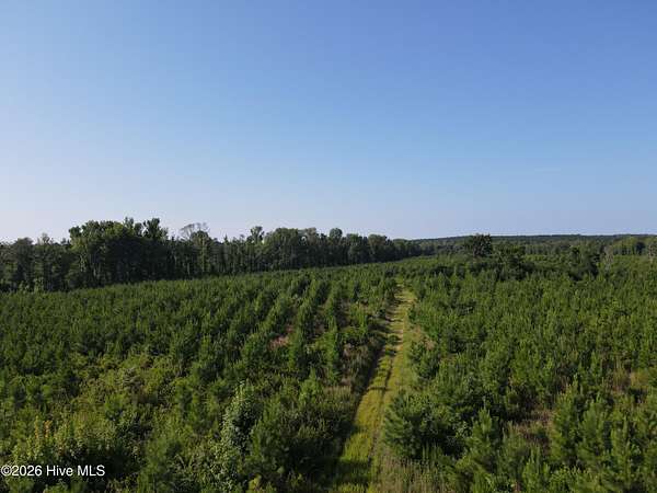 82.6 Acres of Recreational Land for Sale in Sparta, Georgia