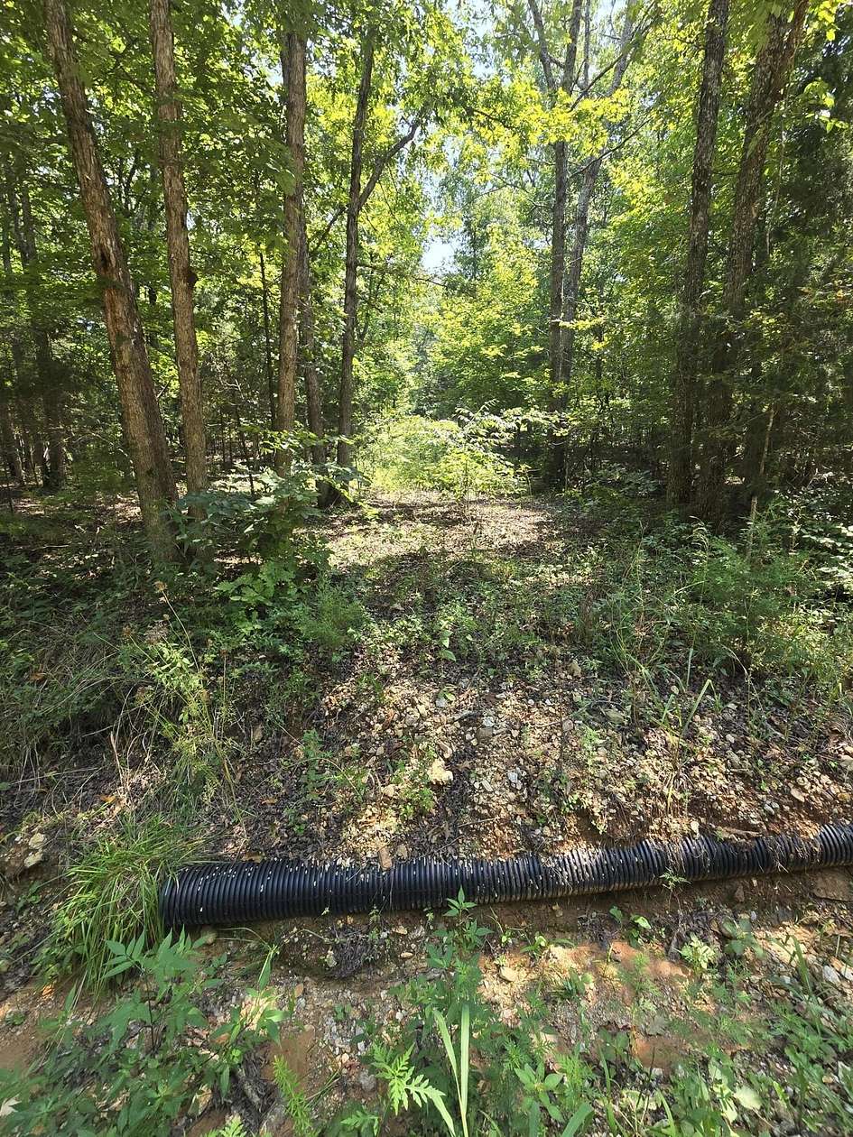 10.7 Acres of Recreational Land for Sale in Birch Tree, Missouri