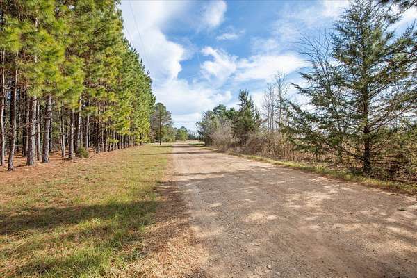 2.6 Acres of Residential Land for Sale in Hawkins, Texas