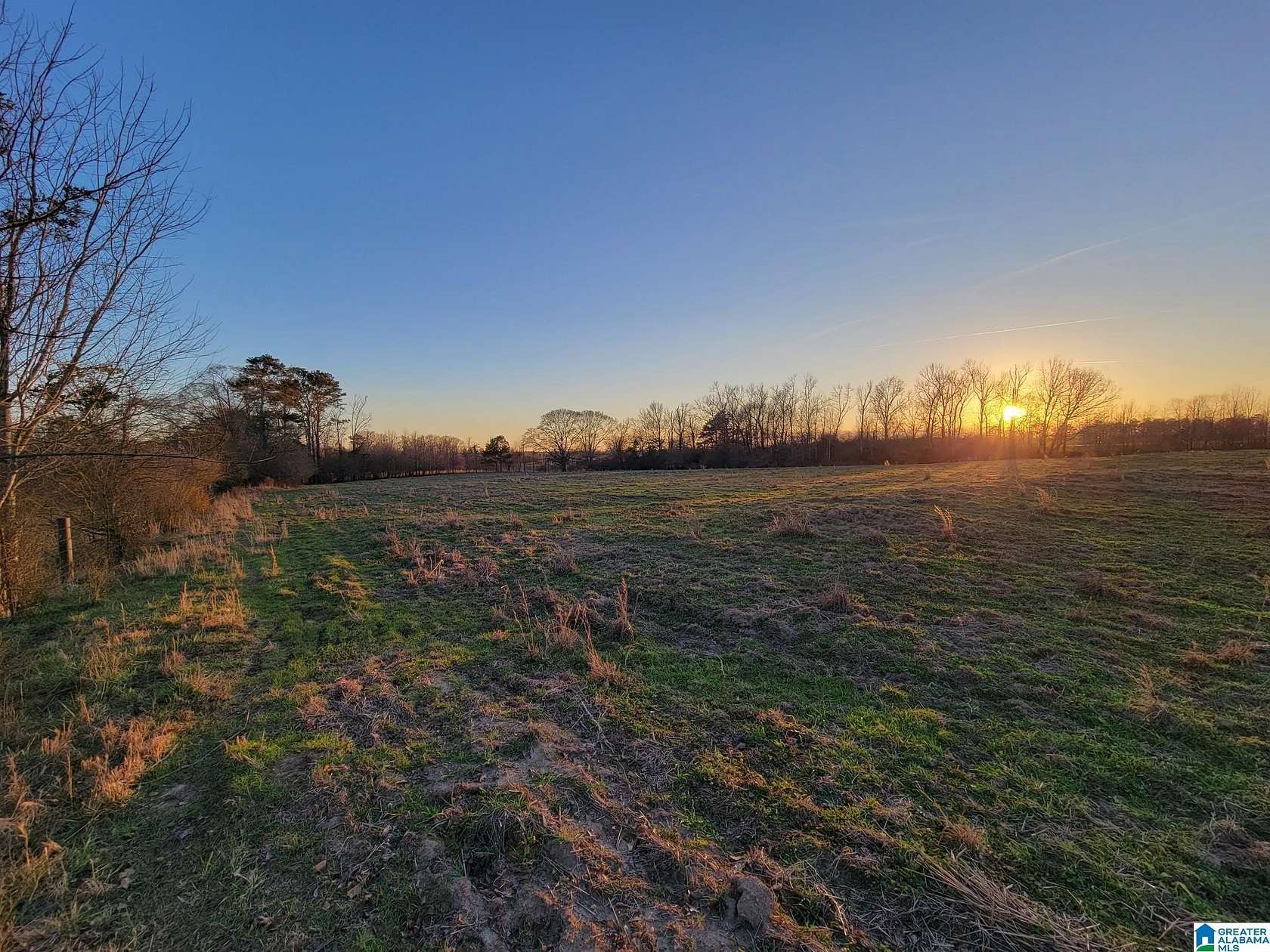 20.7 Acres of Agricultural Land for Sale in Clanton, Alabama