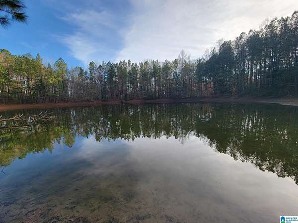 9 Acres of Residential Land for Sale in Maplesville, Alabama