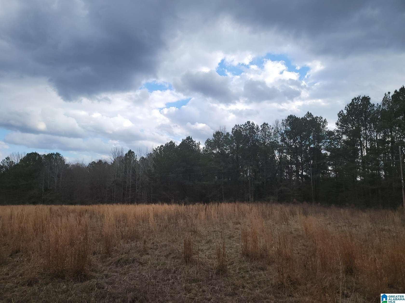 17 Acres of Land for Sale in Maplesville, Alabama