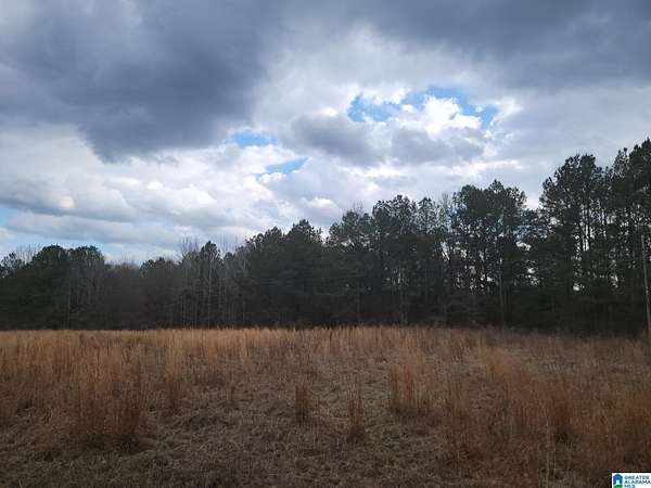 17 Acres of Land for Sale in Maplesville, Alabama