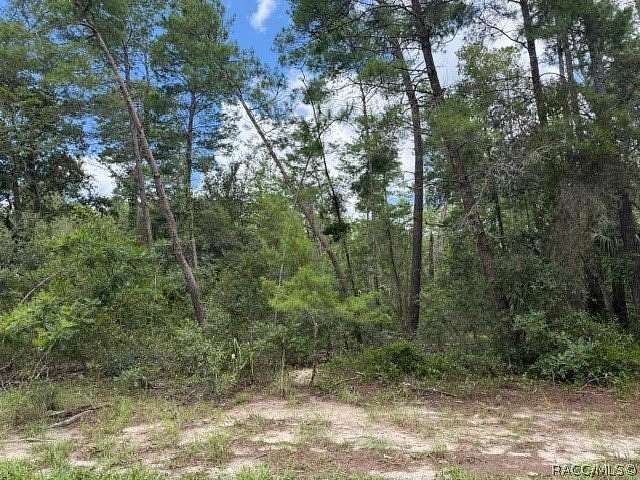 0.84 Acres of Residential Land for Sale in Homosassa, Florida