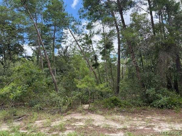 0.84 Acres of Residential Land for Sale in Homosassa, Florida