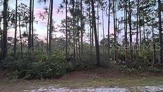 0.5 Acres of Residential Land for Sale in Indian Lake Estates, Florida