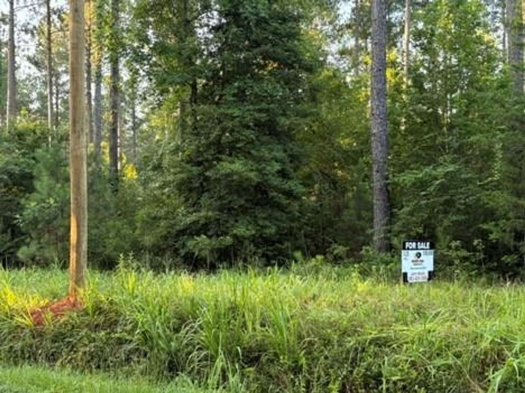 13.3 Acres of Recreational Land for Sale in Little Mountain, South Carolina