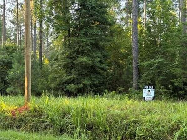 13.3 Acres of Recreational Land for Sale in Little Mountain, South Carolina