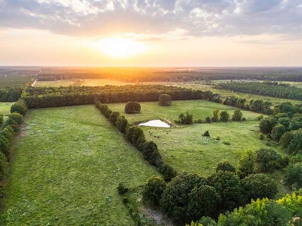 44.8 Acres of Land for Sale in Haworth, Oklahoma