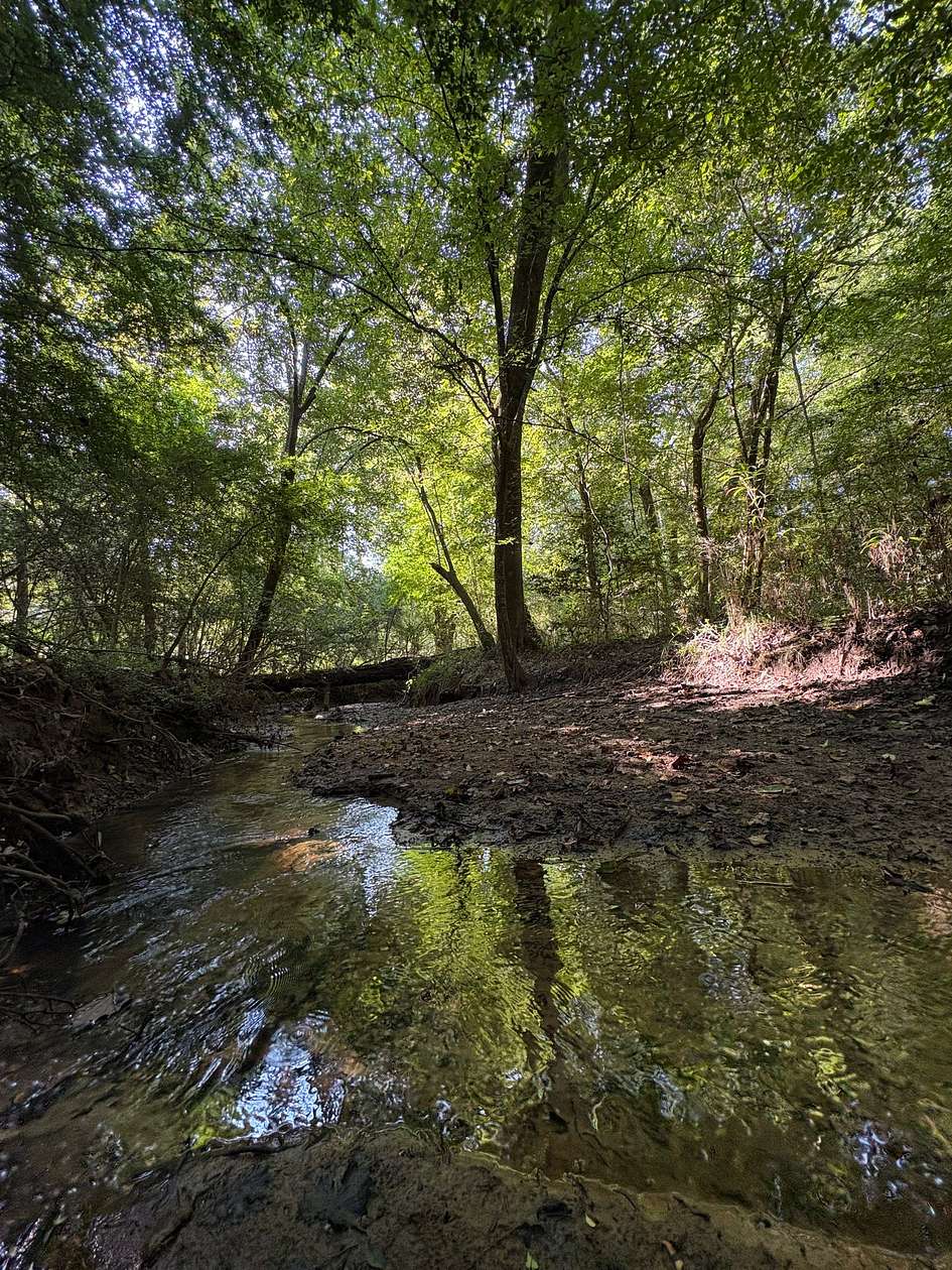 360 Acres of Recreational Land for Sale in Rutledge, Alabama
