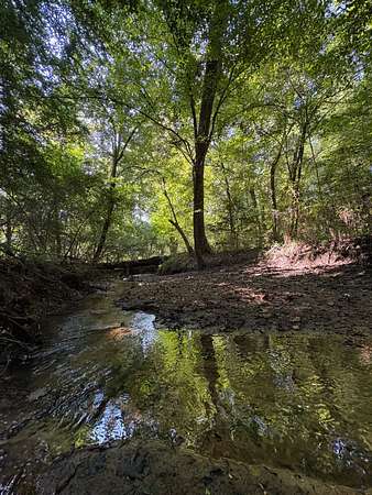 360 Acres of Recreational Land for Sale in Rutledge, Alabama