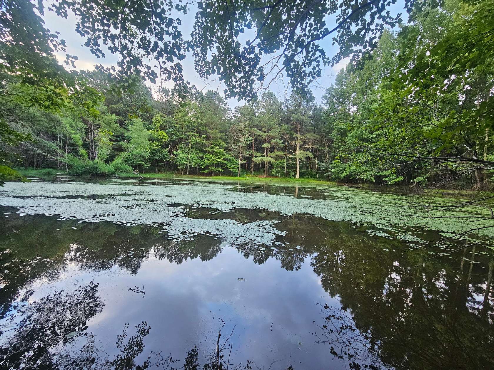 7.14 Acres of Residential Land for Sale in Mentone, Alabama