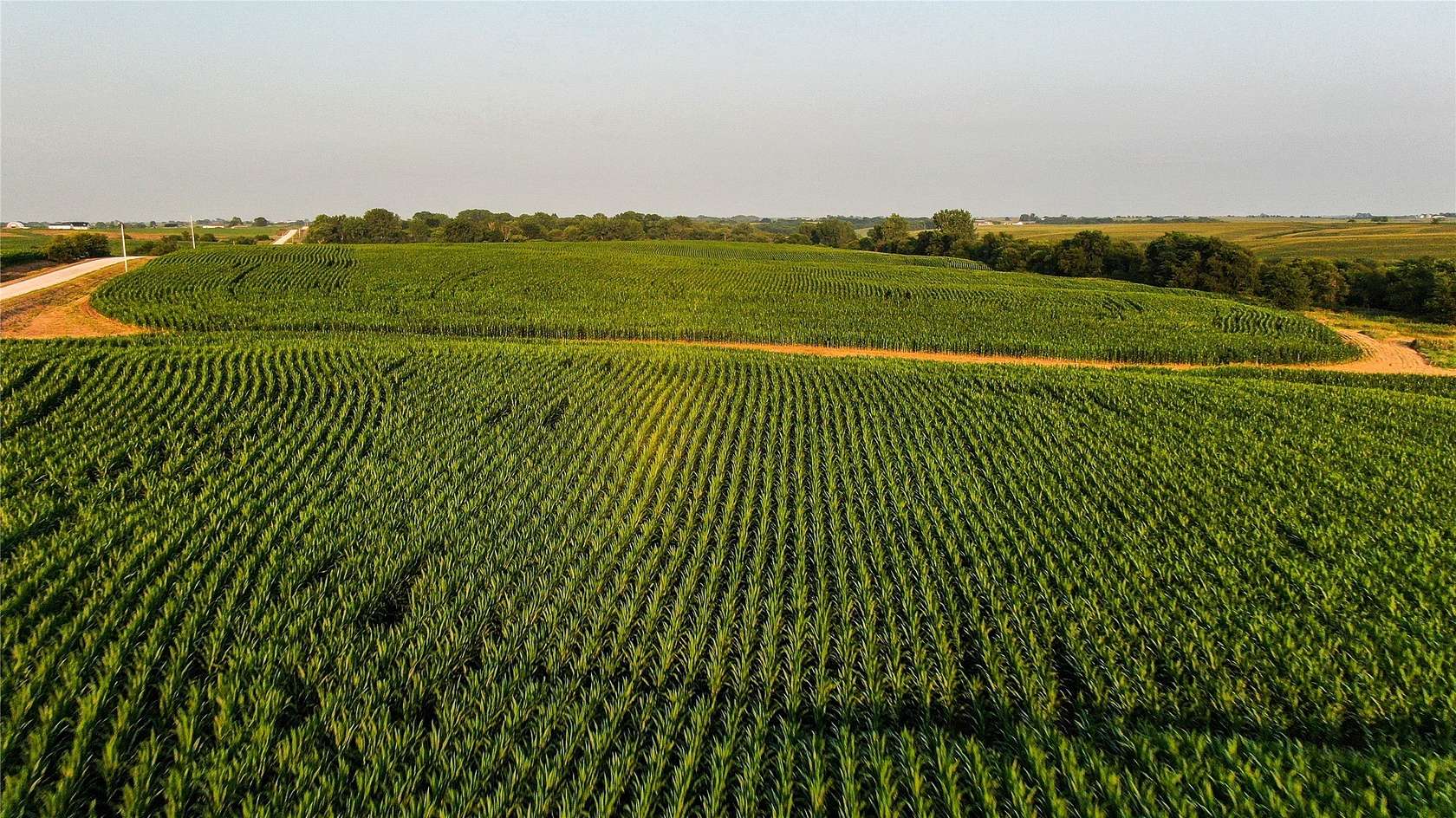 523 Acres of Agricultural Land for Auction in Corydon, Iowa