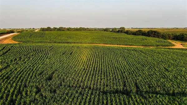 523 Acres of Agricultural Land for Auction in Corydon, Iowa