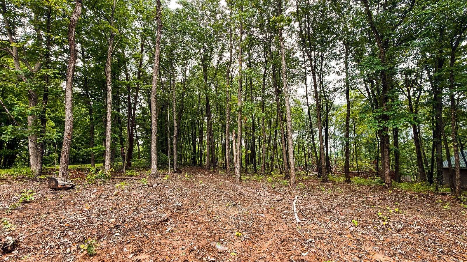13.4 Acres of Recreational & Residential Land for Sale in Bainbridge, Ohio