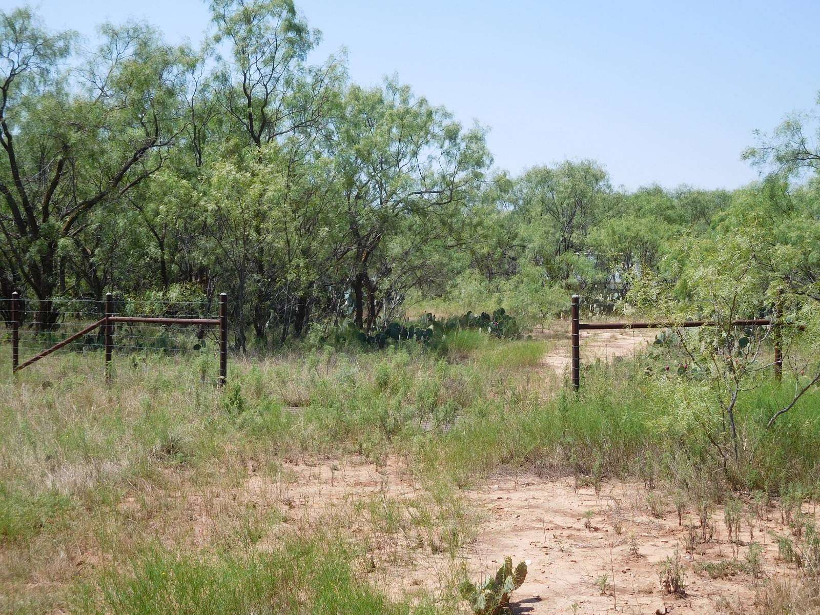 92.4 Acres of Land for Sale in Winters, Texas