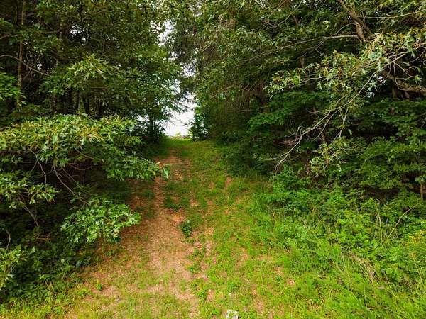 7.5 Acres of Residential Land for Auction in Cookeville, Tennessee