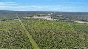 121 Acres of Land for Sale in Shreveport, Louisiana