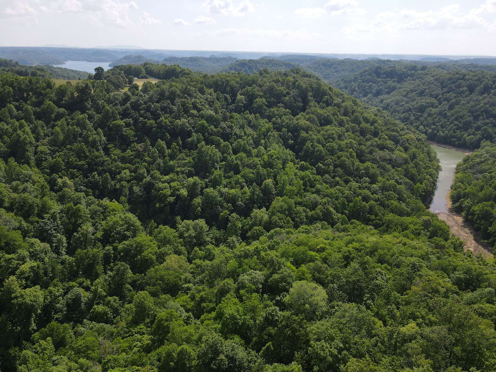 89.4 Acres of Land for Sale in Silver Point, Tennessee