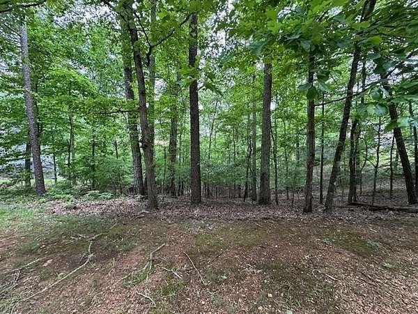 0.56 Acres of Residential Land for Sale in Savannah, Tennessee
